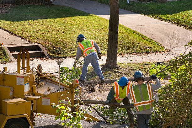 Best Commercial Tree Services  in Mexia, TX